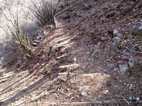 20171207hike (314)